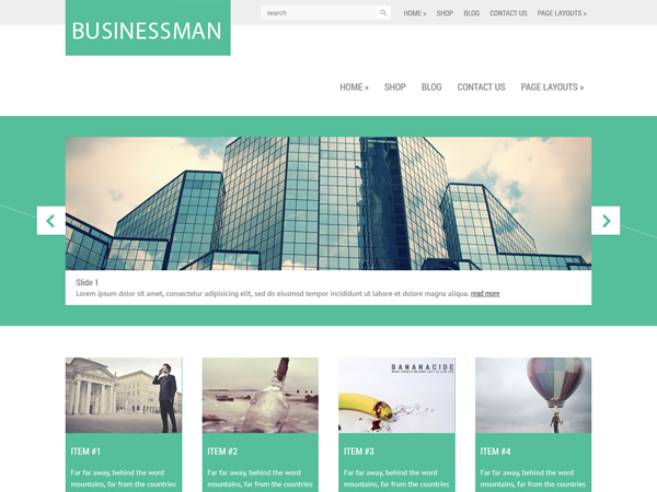 Businessman Premium WordPress Theme