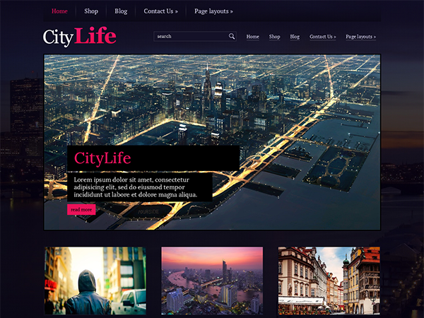 CityLife Premium WordPress Theme