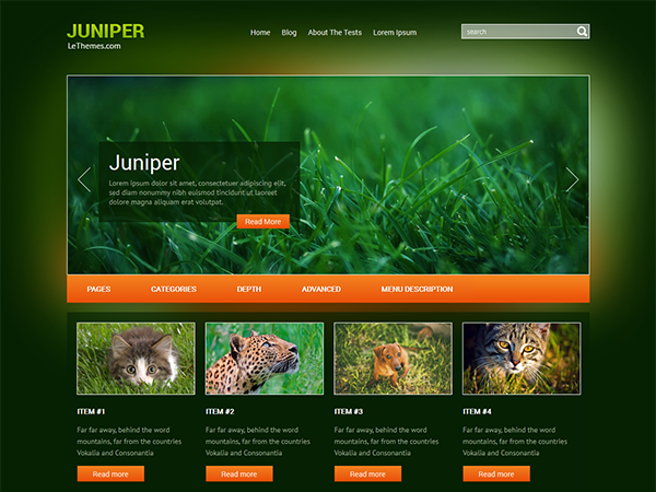 Juniper Premium WordPress Theme