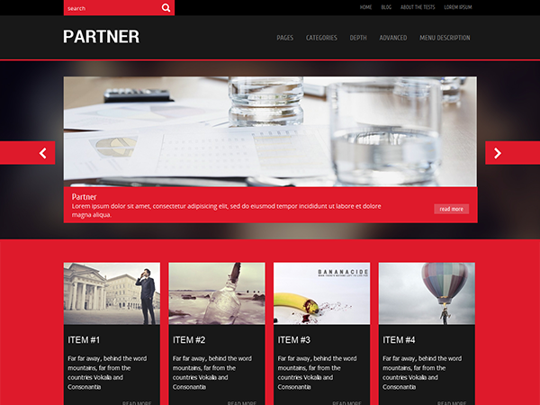 Partner Premium WordPress Theme