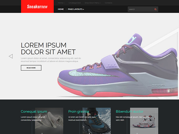 SneakerNew Premium WordPress Theme