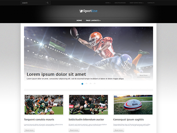 SportLine Premium WordPress Theme